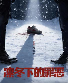 红果影视电视剧海报